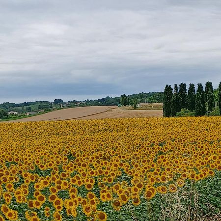 Maison Du Bois Saint-Antoine  ภายนอก รูปภาพ