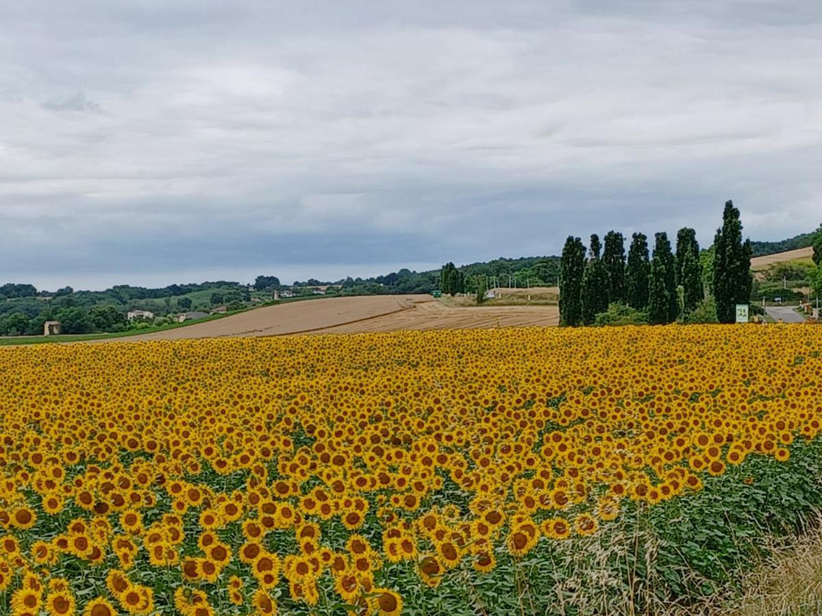 Maison Du Bois Saint-Antoine  ภายนอก รูปภาพ